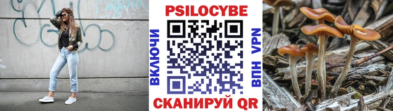 Галлюциногенные грибы GOLDEN TEACHER  закладки  Монино 