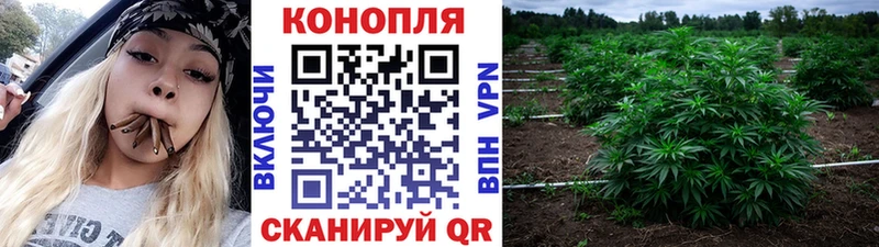 Бошки Шишки гибрид  купить наркотик  Монино 